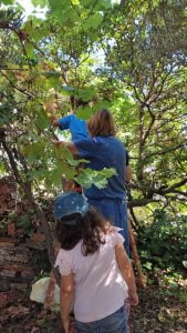 WhatsApp Image 2023 09 13 at 11.28.44