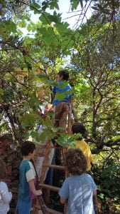 WhatsApp Image 2023 09 13 at 11.29.28