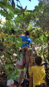 WhatsApp Image 2023 09 13 at 11.29.29