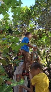 WhatsApp Image 2023 09 13 at 11.29.361