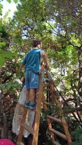 WhatsApp Image 2023 09 13 at 11.32.09