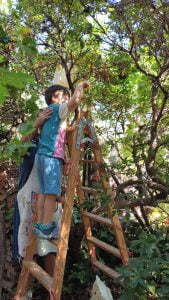 WhatsApp Image 2023 09 13 at 11.32.45