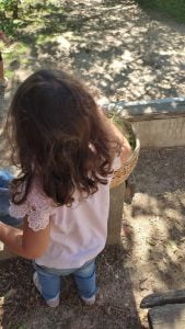 WhatsApp Image 2023 09 13 at 11.33.15