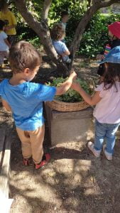 WhatsApp Image 2023 09 13 at 11.33.261