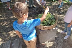 WhatsApp Image 2023 09 13 at 11.33.361