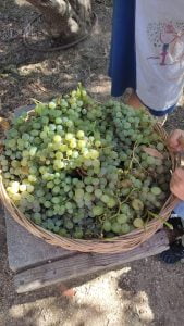 WhatsApp Image 2023 09 13 at 11.38.49