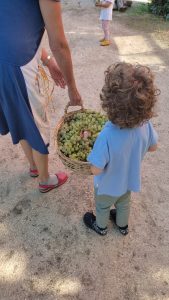 WhatsApp Image 2023 09 13 at 11.39.25