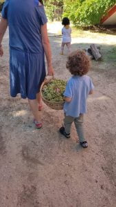 WhatsApp Image 2023 09 13 at 11.39.33