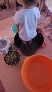 WhatsApp Image 2023 09 28 at 11.06.14