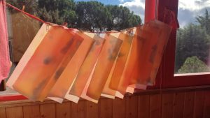 Acuarelas farolitos secando 1